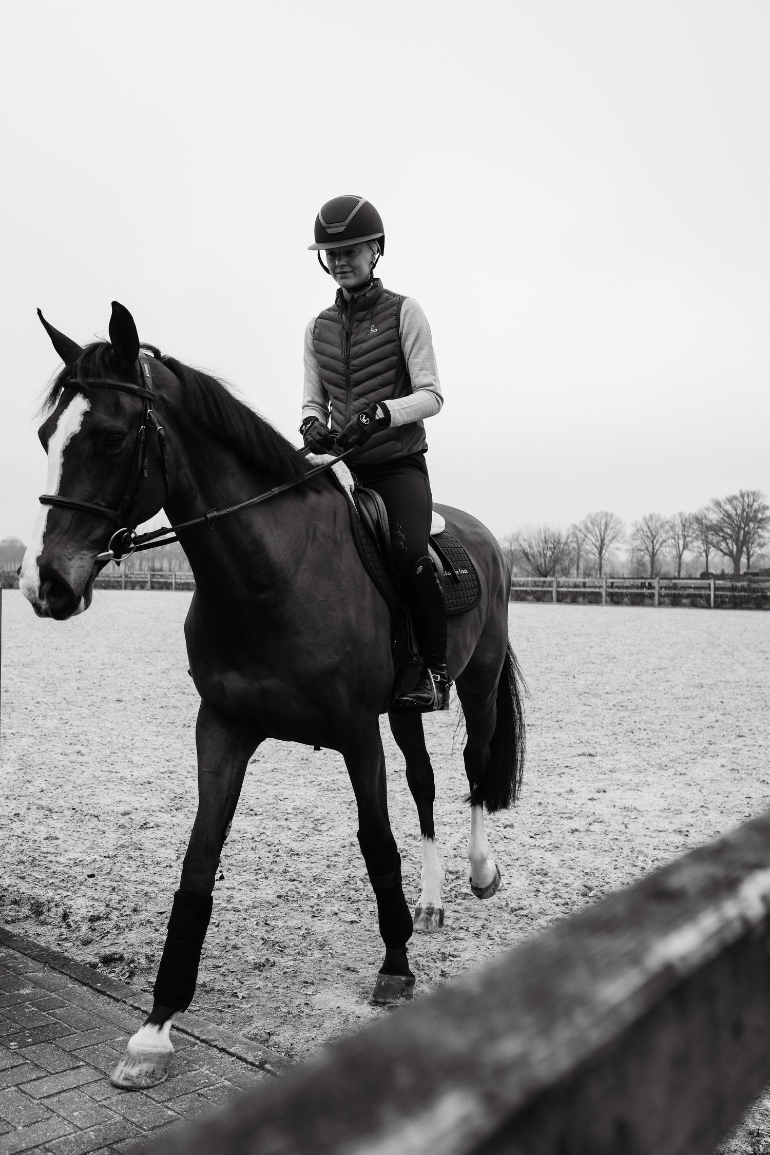 LuLu Equestrian